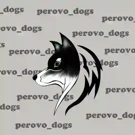 Перово_Dogs