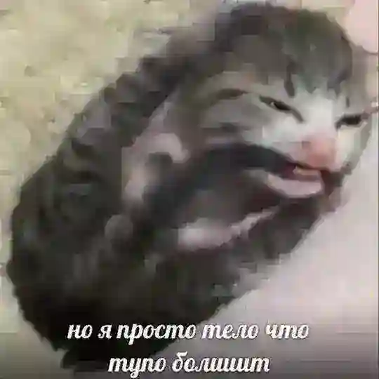 Общение/Чат/Знакомства💙💙💙