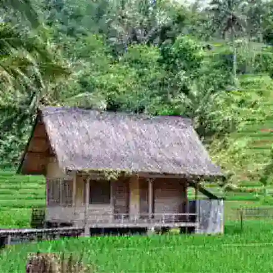 Gubuk Virtual