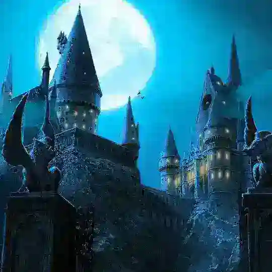 HOGWARTS SCHOOL OF WITCHCRAFT AND WIZARDRY