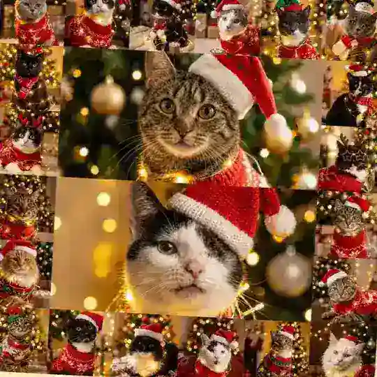 Подарки котикам❤️