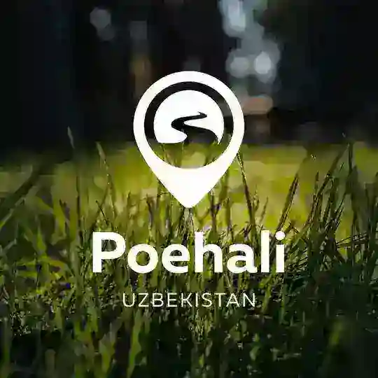 Весенние туры от Поехали.уз