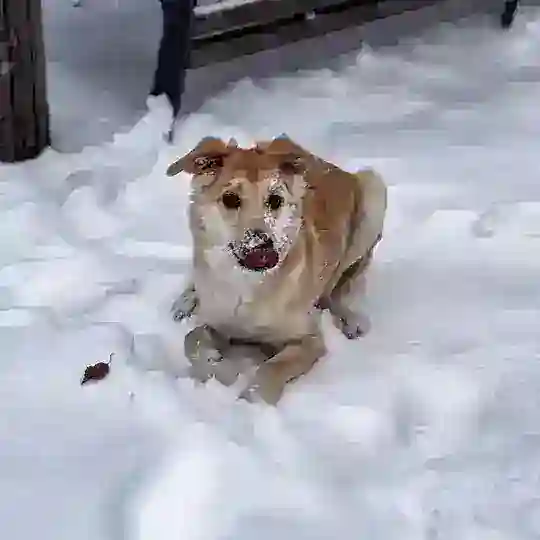 Малыш дома 🥳