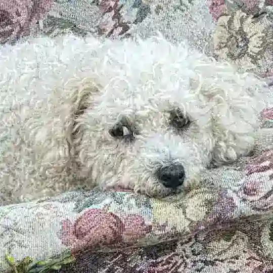 Люсенька нашлась!