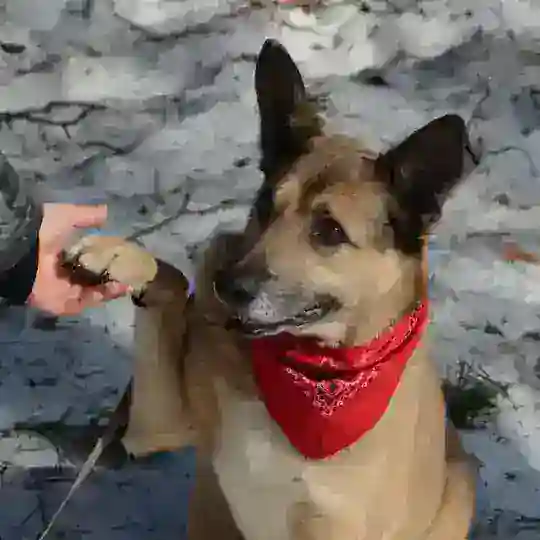 Помощь Джиму (ТС)