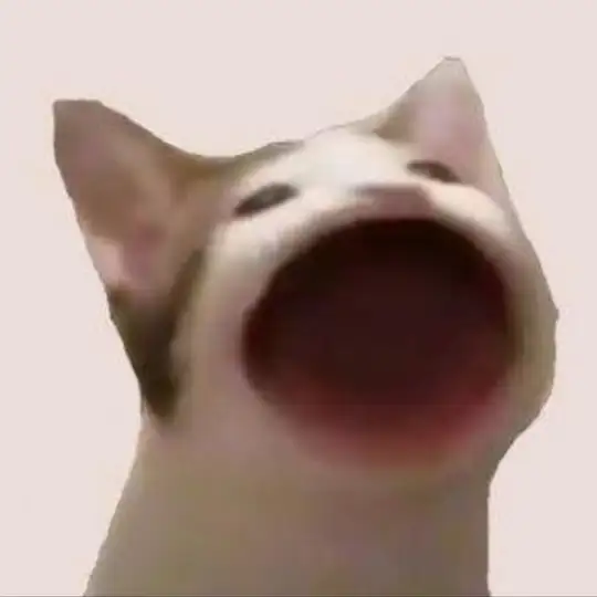 POPCAT SOLANA CHAT