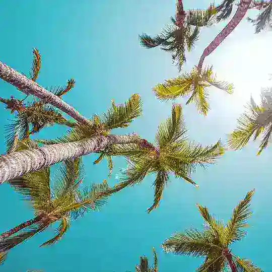 ✈️Пошук попутників Україна 👌