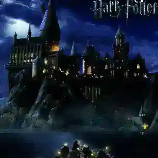 Harry Potter Sohbet