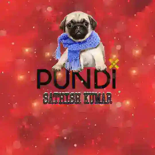 Airdrop judge and pundi x gifts and tips group