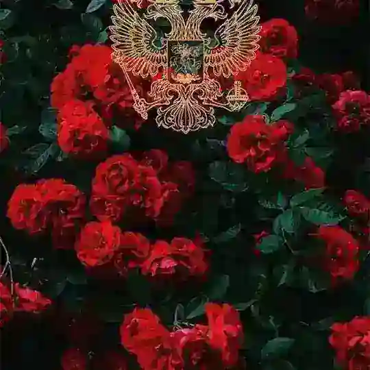 Бродяги