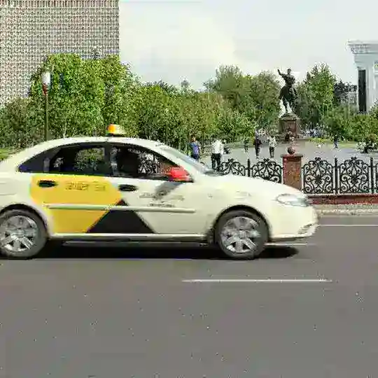 Корасув кокон