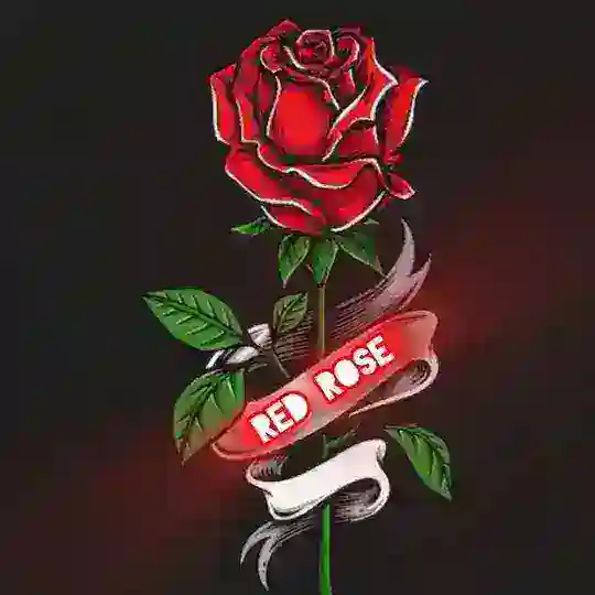 β―κ―Μ½π€π©γ¬γκ―π²ββκ―β€οΈπ«eπΰΏRoseπΉπ€