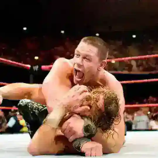 Ring Of Wrestling