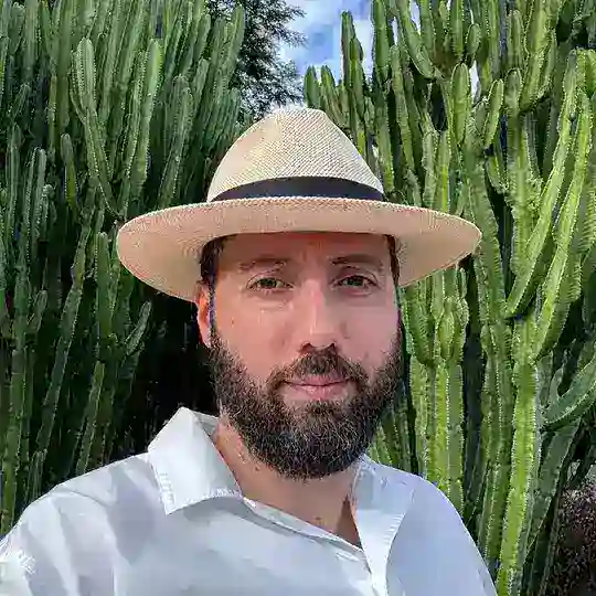 Дмитрий Романов группа