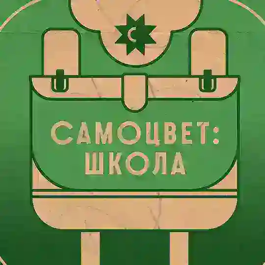 Самоцвет: Школа