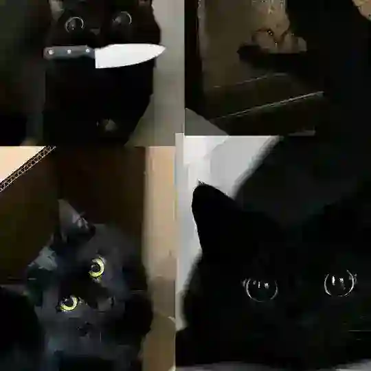 ♡Дружим, общаемся и т.д.♡