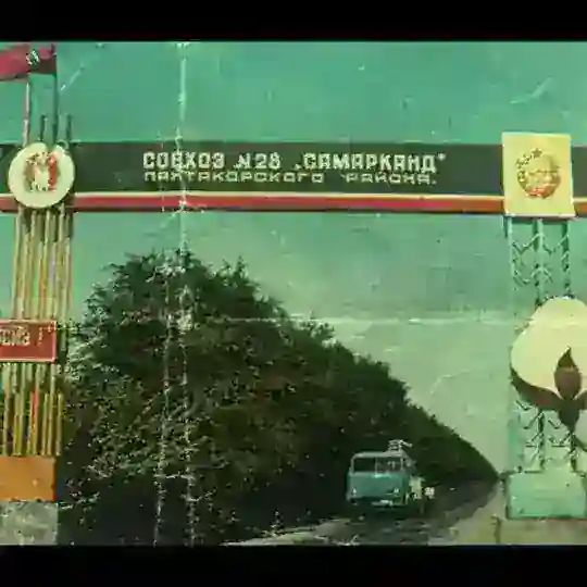 28-САВХОЗ_ N1