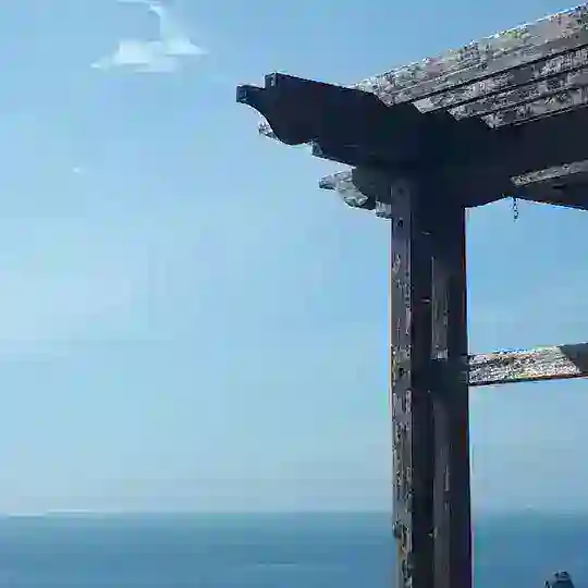 Японский клуб Севастополя