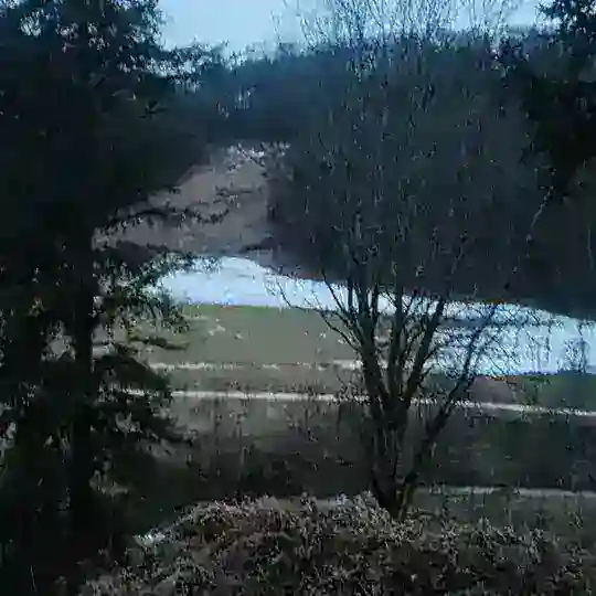 Land of Sharewood Forst