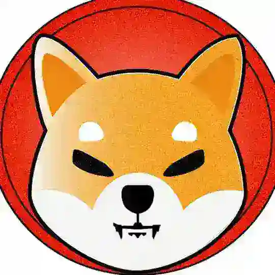 Shiba Inu Côte d'Ivoire