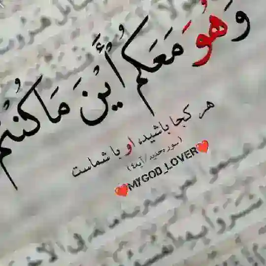 همسان گزینی(حلال،موقت)