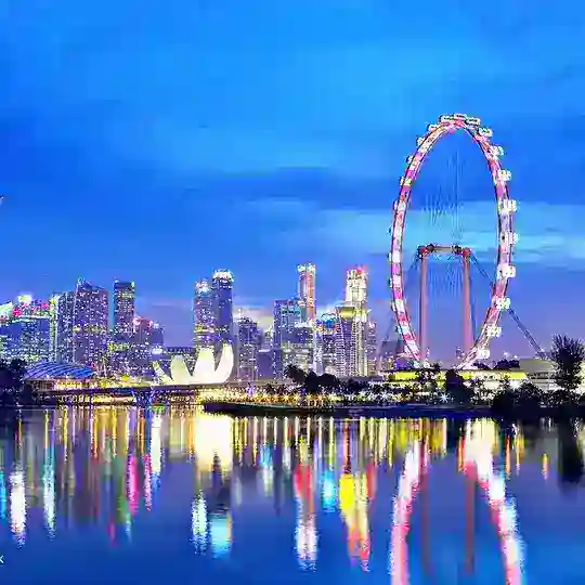 Singapore Diaries