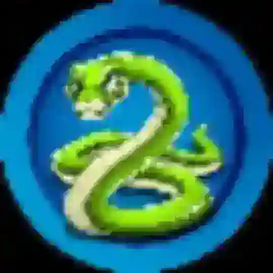 Snook Token