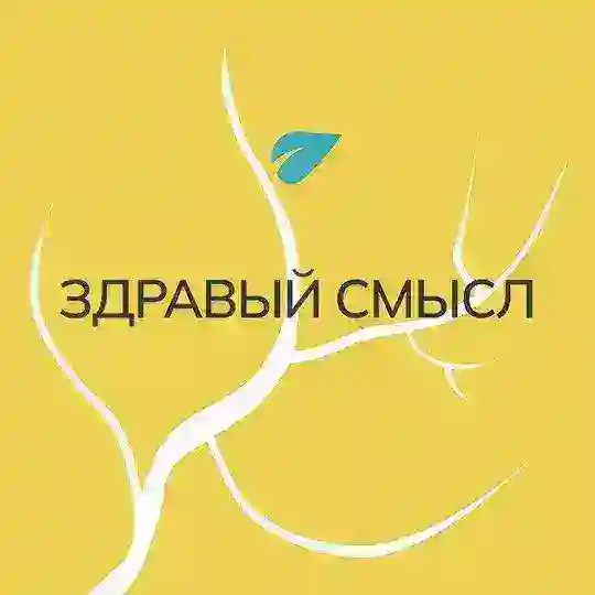 Практики Здравого Смысла | основано на Социократии 3.0