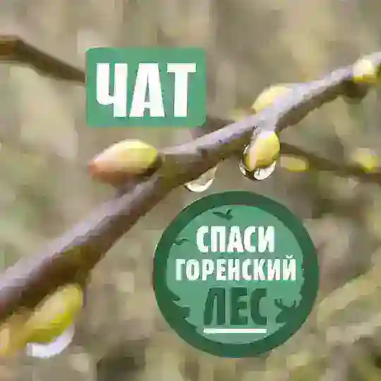 Спаси Горенский лес