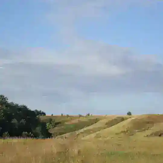 Чат с.Старі Безрадичі
