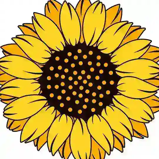 SunFlower VietNam