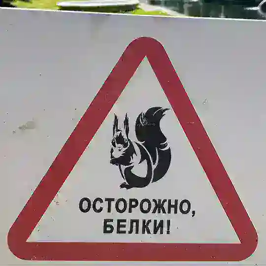 Свинюга