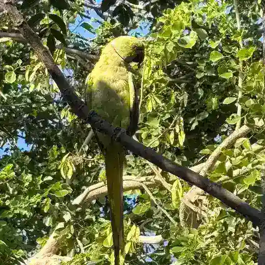 Buy Aged Old Groups Channels Bots כיוונים ירושלים