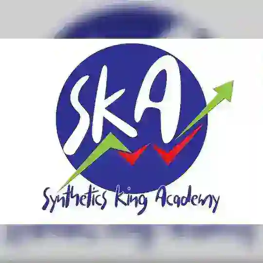 SYNTHETICS KING FAMILYπ