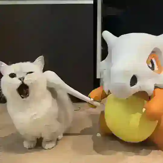 毛小孩沙雕日常（貓貓寵物交流群）