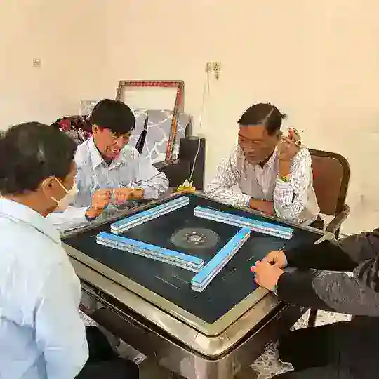 桃花岛