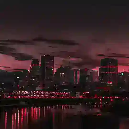 شاعری کی دنیا