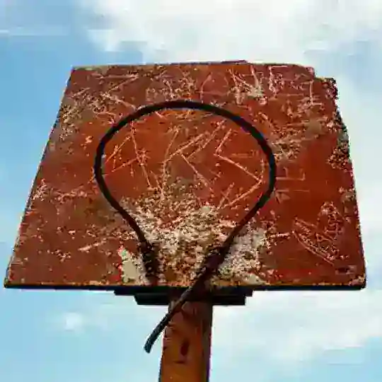 Чат Through the Net