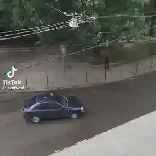 ТОВАРКА