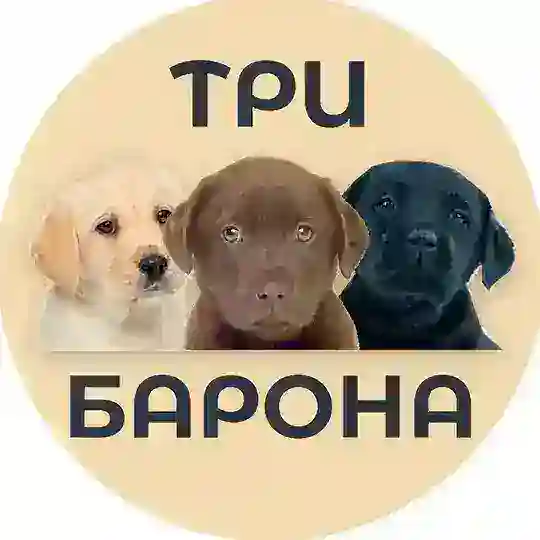 Проект "Три Барона"