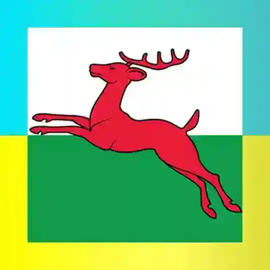 Ukrainian in Smallingerland