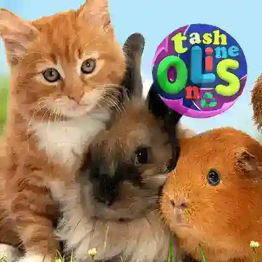 Домашные #Животные, Уй хайвони🐰🐔🐑