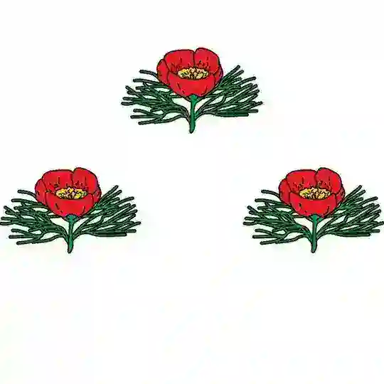 Вейделевка чат
