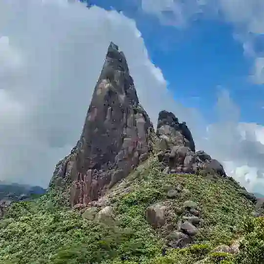 Вьетнамский хайкинг 🇻🇳⛰️