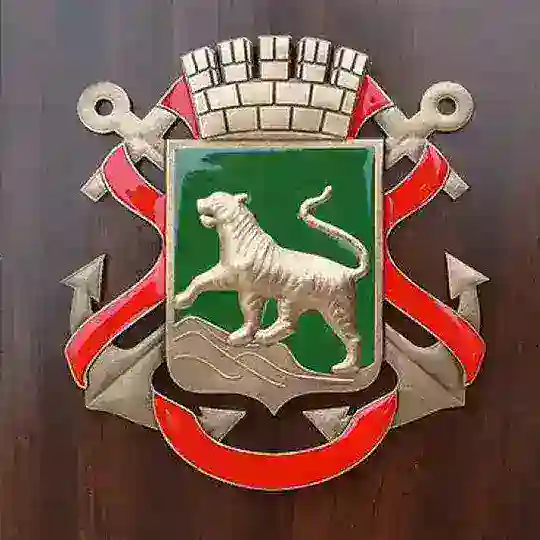 VIP Груз Владивосток