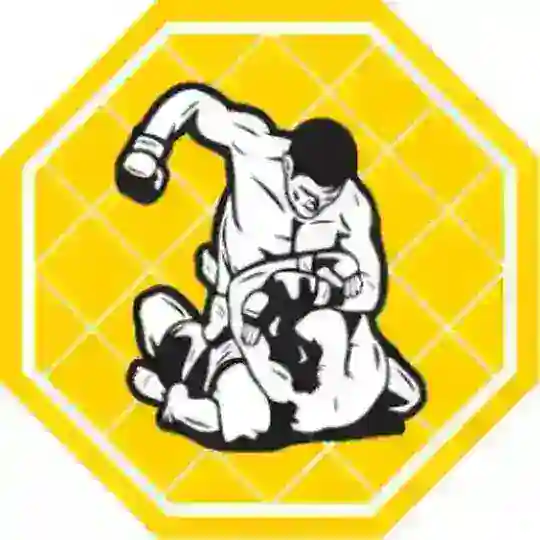 💀 UFC | MMA | VIDEO 18+