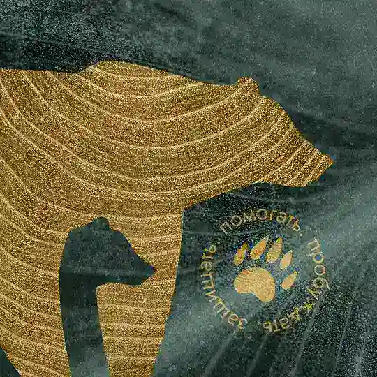 Волонтёры на защите природы