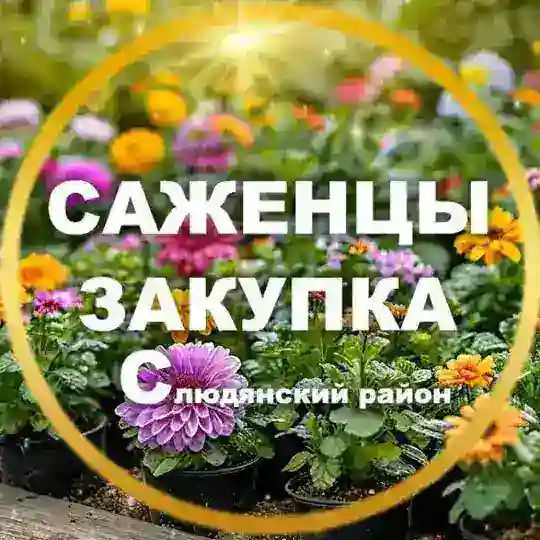ВСЕ ДЛЯ САДА🌳