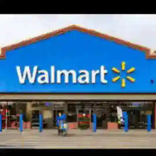 WALMART BINS