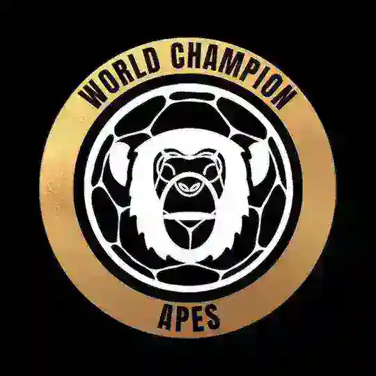 WCAPES Community ⚽️